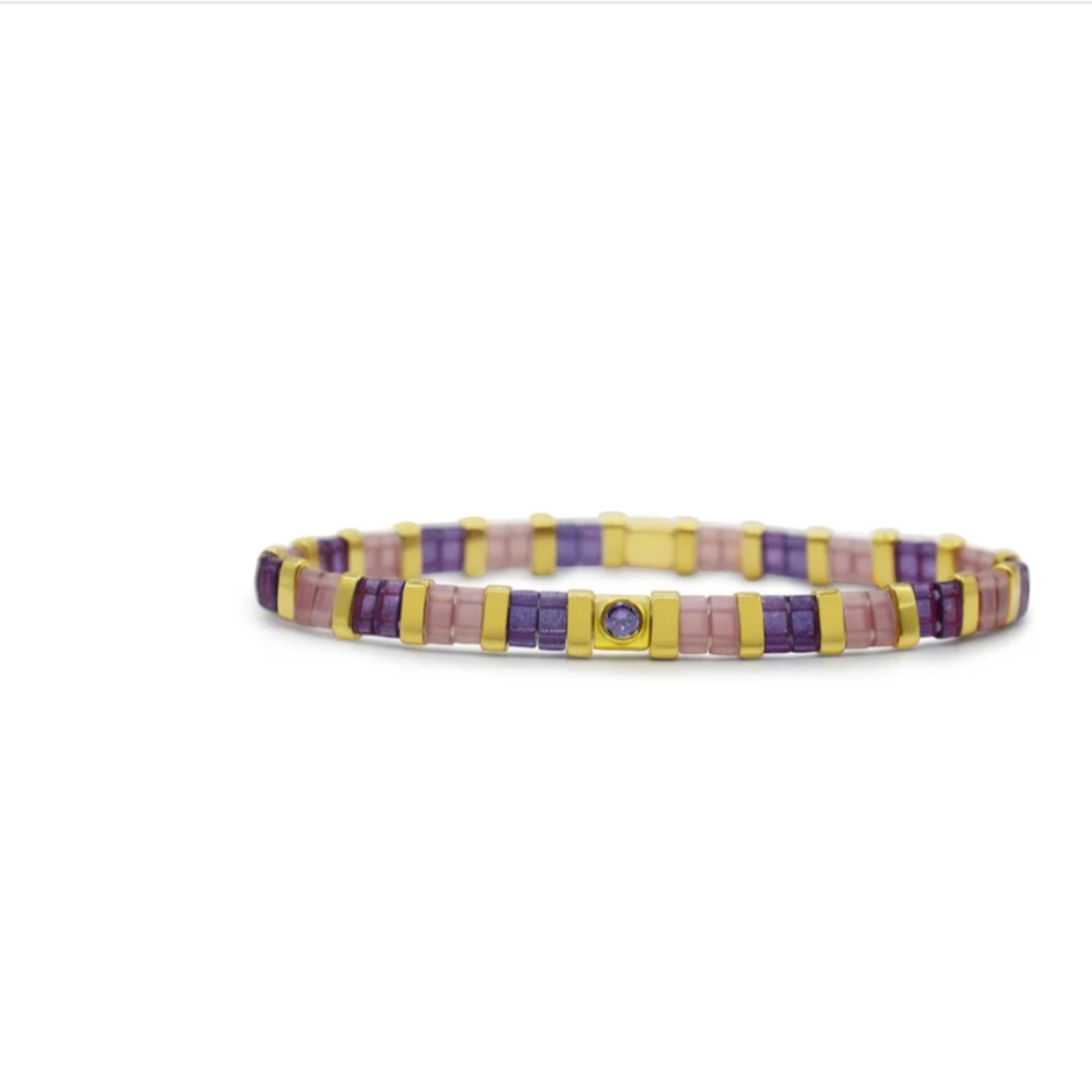 Skylar Paige - Amethyst / February - So Colorful Tila Bracelet  NWT